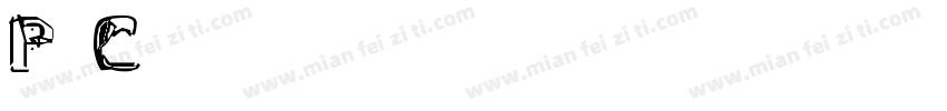 Private Collection 3字体转换